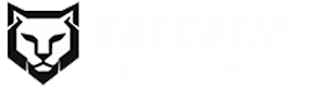 山猫跨境工具导航站
